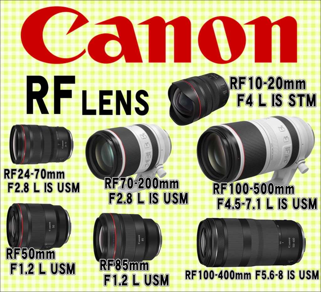 RF10-20mm F4 L IS STM　RF24-70mm F2.8 L IS USM　RF70-200mm F2.8 L IS USM　RF100-400mm F5.6-8 IS USM　RF100-500mm F4.5-7.1 L IS USM　RF200-800mm F6.3-9 IS USM　RF50mm F1.2 L USM　RF85mm F1.2 L USM　体験会を開催いたします